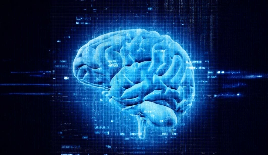 Behavioural Science