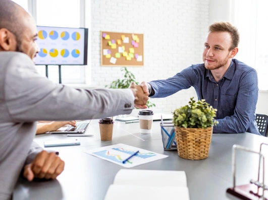 Data Governance consulting