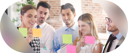 Team's Expertise